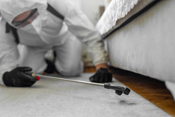Professional Ant Control technician working in Lakeside, OR
